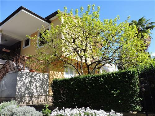 Semesterlägenhet - 2 personer -  - Novigrad (Istra) - 52466