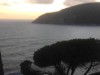 Billede 23