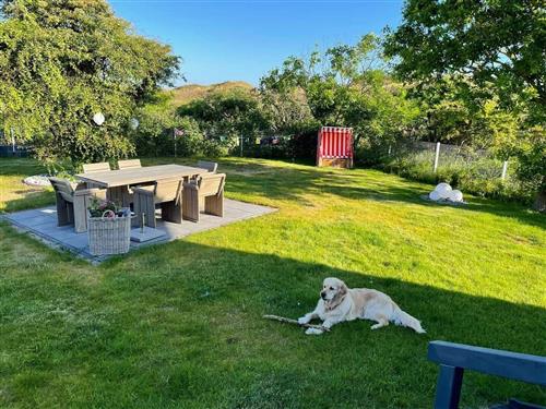 Ferielejlighed - 6 personer -  - Barkhausenstr. - 26465 - Langeoog