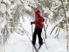 Image 19 - Activity