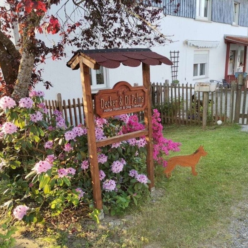 Sommerhus - 4 personer -  - 88633 - Heiligenberg
