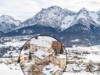 Bilde 11 - Ude