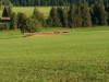 Bilde 20 - Ude