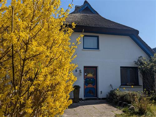 Sommerhus - 4 personer -  - Auf dem Ende - 18375 - Born