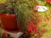 Bild 21