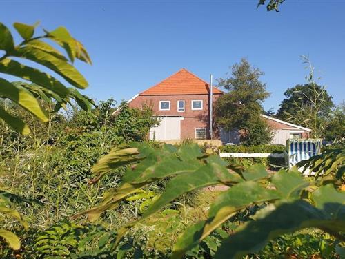 Ferienhaus - 8 Personen -  - 26409 - Wittmund \/ Carolinensiel