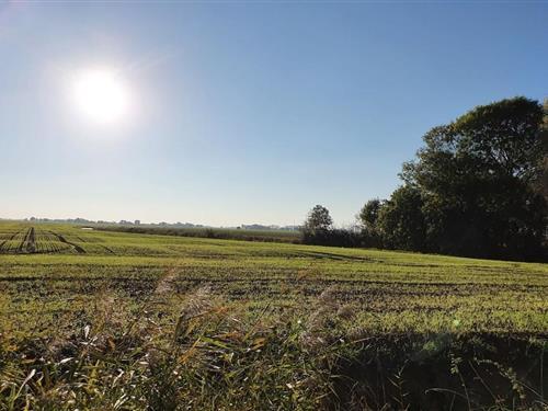 Feriehus - 5 personer -  - 26409 - Altfunnixsiel