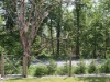 Bild 37 - Ude