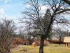 Bild 22
