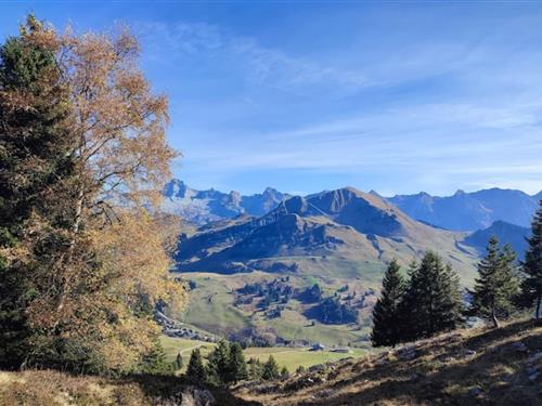 Semesterhus/Semesterlägenhet - 4 personer -  - 74450 - Le Grand Bornand