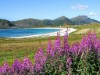 Billede 12 - Udsigt over vand