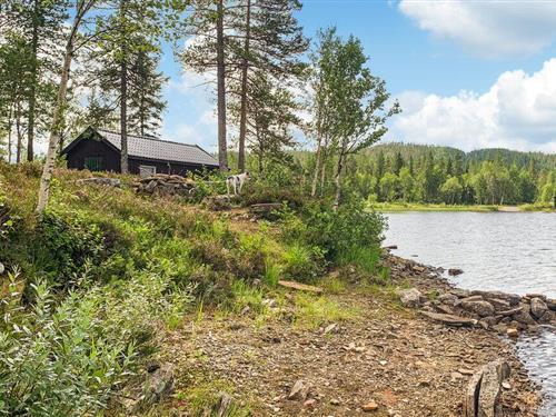 Sommerhus - 7 personer -  - Mellingsdalsvegen - Namskogan - 7890 - Namsskogan