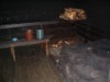 Bild 22 - Inde