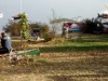 Bild 16