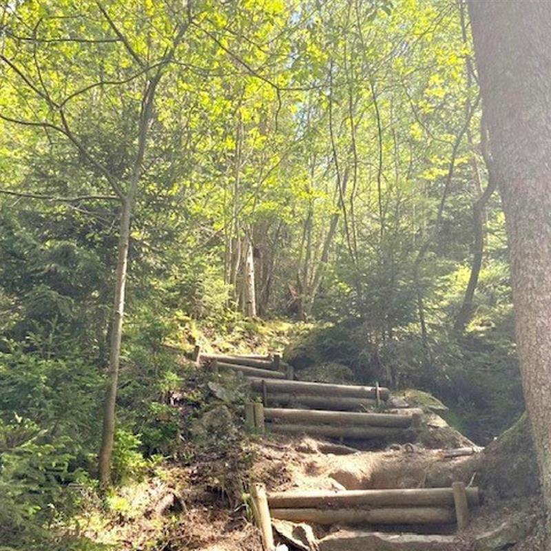 Ferielejlighed - 8 personer -  - Wachhügelweg - 95152 - Selbitz