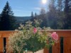 Image 51 - Outside