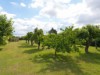 Image 22 - Outside