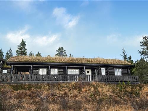 Sommerhus - 8 personer -  - Stemtjønnvegen - Kyrkjebygdheia - 3854 - Nissedal