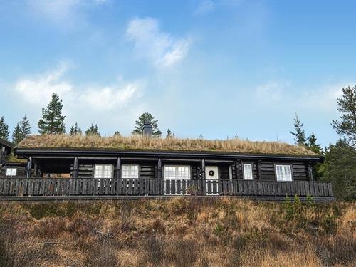 Holiday home - 8 persons -  - Stemtjønnvegen - Kyrkjebygdheia - 3854 - Nissedal