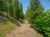 Bild 50 - Ude