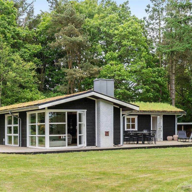 Ferienhaus - 4 Personen -  - Bjørnshøjevej - Vile Strand - 7870 - Roslev