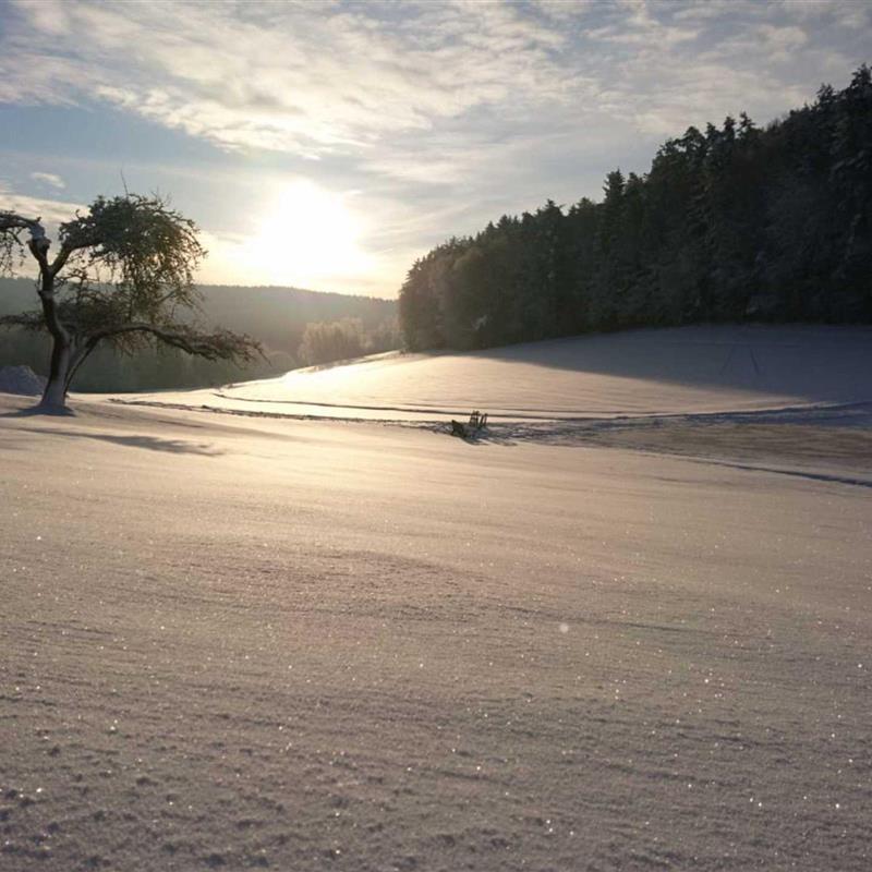 Ferielejlighed - 4 personer -  - Lochau - 95488 - Eckersdorf