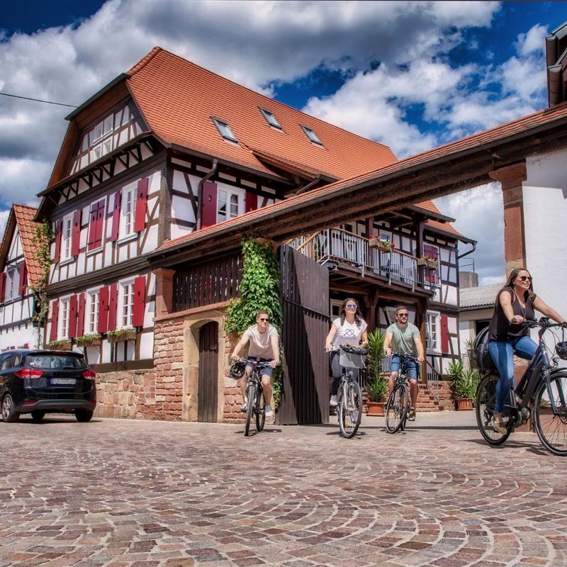 Ferielejlighed - 4 personer -  - Obergasse - 76872 - Steinweiler