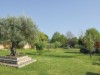 Image 14