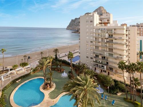 Ferieleilighet - 4 personer -  - Av. Juan C. I 26, Portal - 03710 - Calpe