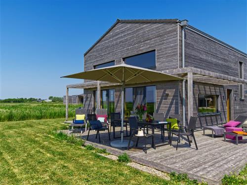 Feriesenter - 8 personer -  - Kaydeich - 25849 - Pellworm