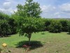 Image 22 - Outside