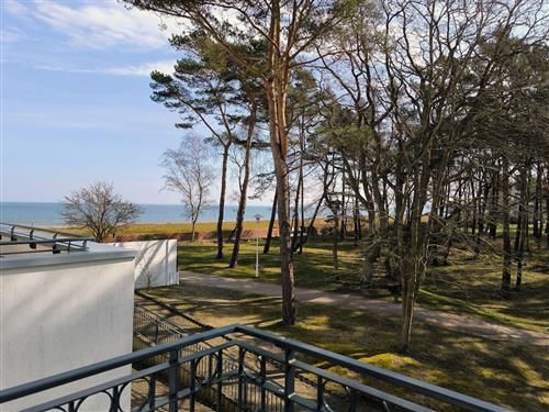 Holiday Home/Apartment - 2 persons -  - Am Inselparadies - 18586 - Baabe (Ostseebad)