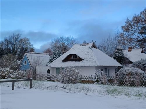 Sommerhus - 4 personer -  - Chausseestraße - 18347 - Dierhagen / Ostseebad Die