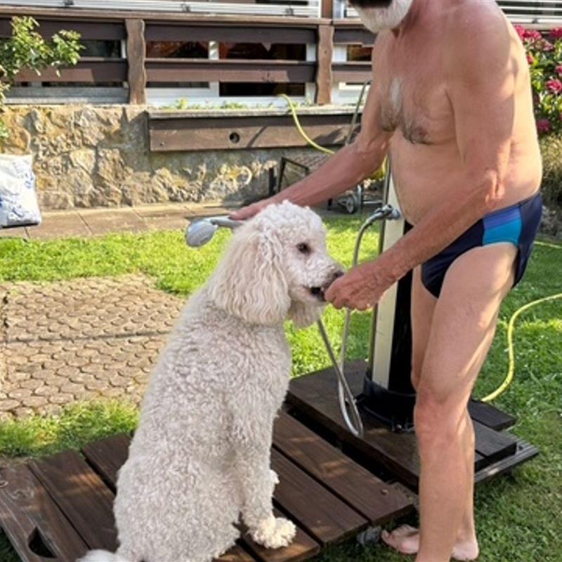 Ferielejlighed - 6 personer -  - Röderweg - 97737 - Gemünden Am Main