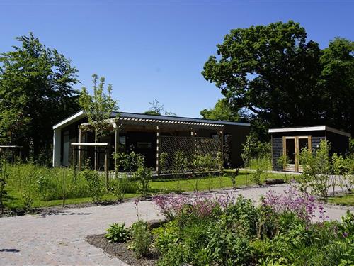 Sommerhus - 4 personer -  - 8521NE - Sint Nicolaasga