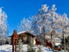 Bild 18