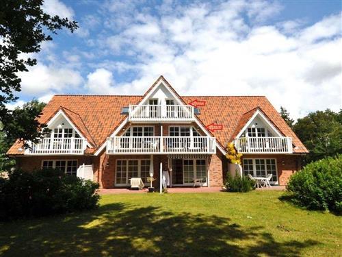Ferielejlighed - 4 personer -  - Böhler Landstraße - 25826 - St. Peter-Ording