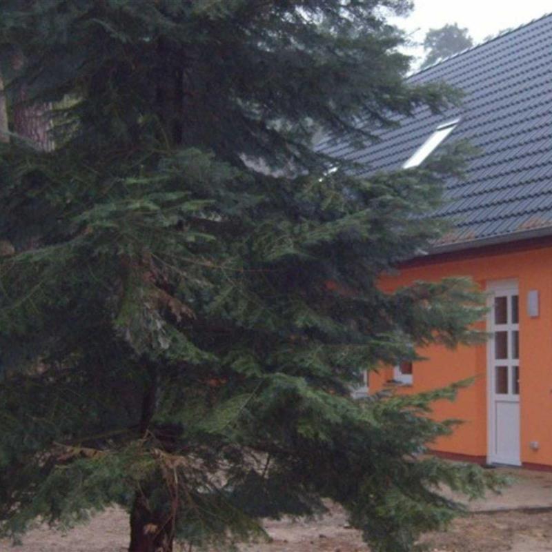 Ferielejlighed - 6 personer -  - Teterower Chaussee - 18273 - Güstrow / Klueß