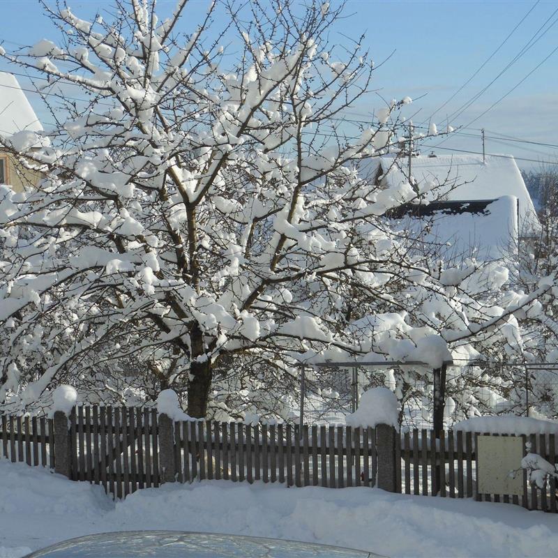 Ferielejlighed - 3 personer -  - Förstenreuth - 95236 - Stammbach