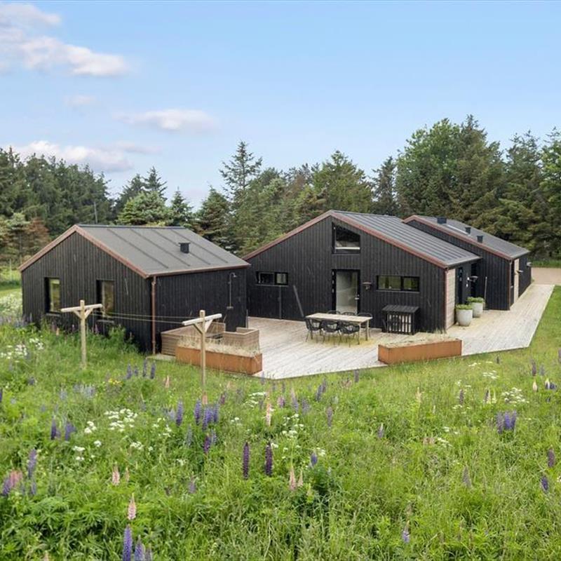 Sommerhus - 10 personer -  - Høngårdsvej - Lønstrup - 9800 - Hjørring