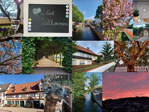 Ferieleilighet - 2 personer -  - Leibnizstraße - 64711 - Erbach