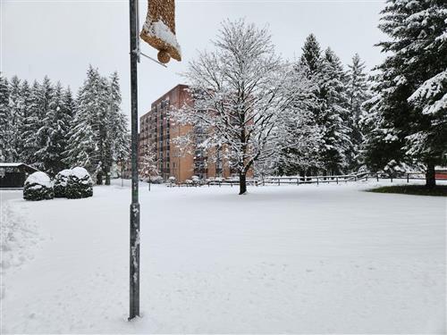 Feriecenter - 4 personer -  - Auf dem Glockenberg Haus B - 38667 - Altenau / Torfhaus