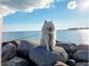 Bild 32