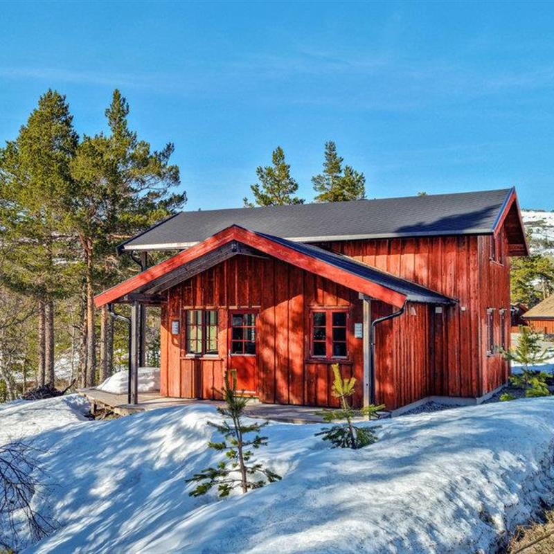 Sommerhus - 8 personer -  - Hillestadheia - Hillestadheia/Dølemo - 4849 - Dølemo