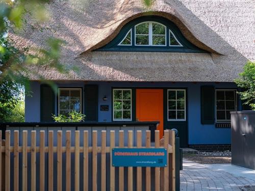 Sommerhus - 6 personer -  - Hagebuttenweg - 18347 - Dierhagen-Neuhaus