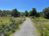 Bild 18 - Ude