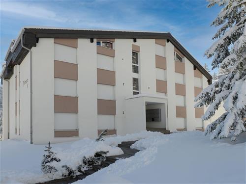 Sommerhus - 2 personer -  - Lenzerheide - 7077