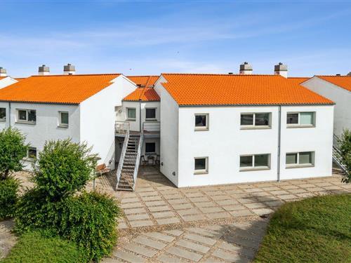 Ferielejlighed - 6 personer -  - Ndr. Strandvej 3k, st. - 8400 - Ebeltoft