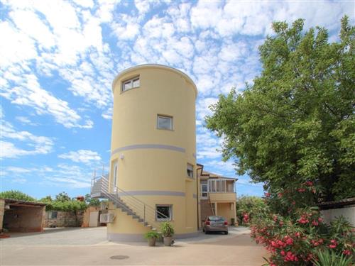 Holiday apartment - 2 persons -  - Buzinija - 52466