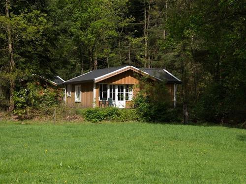 Semesterhus/Semesterlägenhet - 4 personer -  - 7963RB - Ruinen